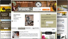 500+ Websites